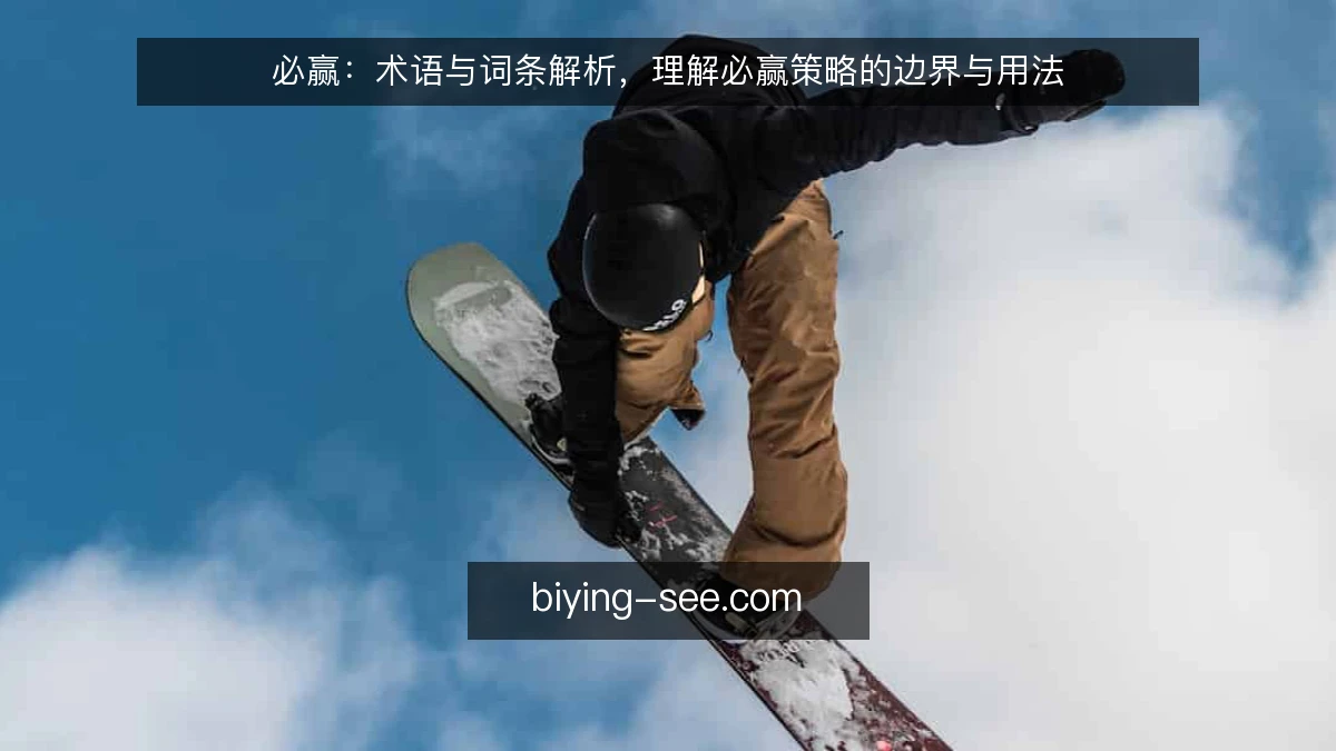 必赢：术语与词条解析，理解必赢策略的边界与用法