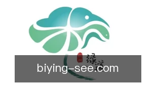 必赢